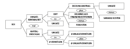 ROI - Darstellung