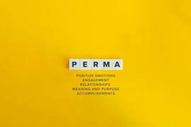 PERMA-F&uuml;hrung - Positives Leadership als Schl&uuml;ssel f&uuml;r nachhaltigen Unternehmenserfolg